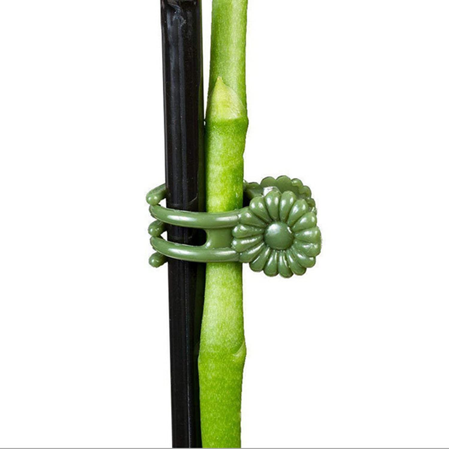 AIEX 6 supporti per piante, in acciaio, supporto per gambo da giardino, anello di supporto per fiori, rosa, pomodori, gigli, peonia (40 cm