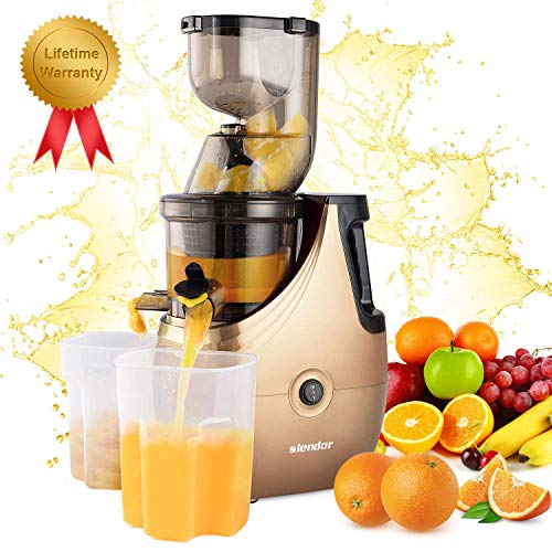 Masticating Juicer Machines Cold Press Slow Juicer Juice Extractor with 3 inches Chute