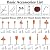 THINKWORK Compact Router, 6.5-Amp 1.25 HP Compact Wood Palm Router Tool Kit, Wood Trimmer with 15 pieces 1/4" Router Bits Set, 30000R/MIN