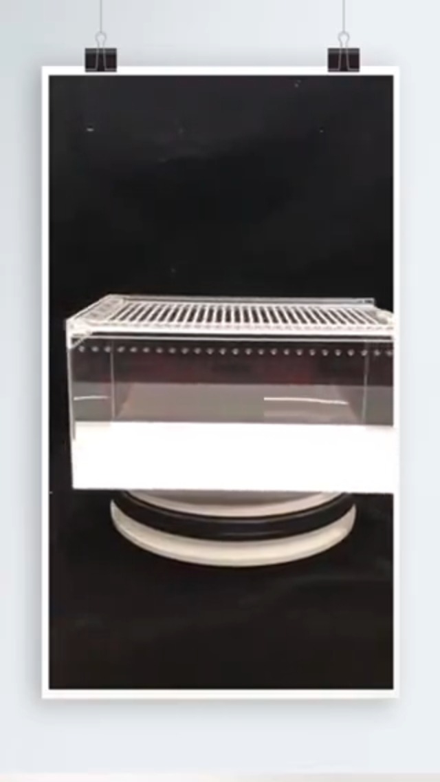 Amazon | レプタイルボックス 爬虫類 飼育ケース レプタイルボックス