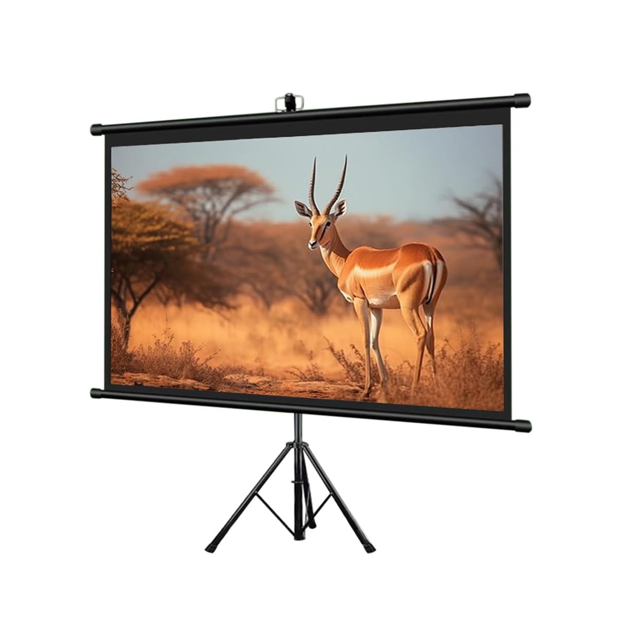 60 Pouces Écran De Projection sur Pieds 72 Pouces Écran pour Projecteur Intérieur Et Extérieur HD Toile Projecteur sur Trépied 4:3 16:9 pour Films Ou Présentations(60inch(4:3))