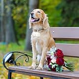 Amexo Ringträgerkissen Für Hundehalsband Ringträger Für Haustiere PU-Leder Ringhalter Weiße Aufbewahrungsbox Für Eheringe Paarring-Aufbewahrungsbox Für Heiratsantrag Verlobung Hochzeit