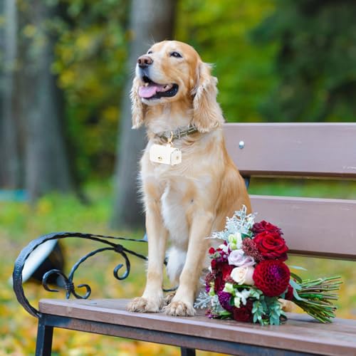 Amexo Ringträgerkissen Für Hundehalsband Ringträger Für Haustiere PU-Leder Ringhalter Weiße Aufbewahrungsbox Für Eheringe Paarring-Aufbewahrungsbox Für Heiratsantrag Verlobung Hochzeit