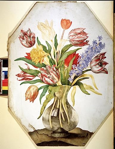 Cuadro de Giovanna Garzoni de 60x90cm para Paredes Vacías sin Vida