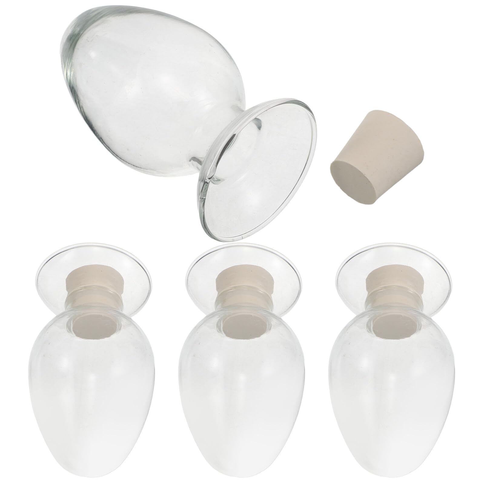 Bocaux en verre pour semences parfaits pour organiser votre abri de jardin