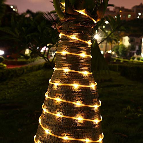 Image of Desidiya LED Strip Rope Light,Water Proof,Ceiling Light,Decorative led Light with Adapter. (5 Meter, Warmwhite)