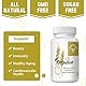 Fermentierter Weizenkeim-Extrakt Kapseln - Mit Zink, Thiamin & Spermidin Komplex | 60 Kapseln 1300mg (60 Stück (2er Pack))
