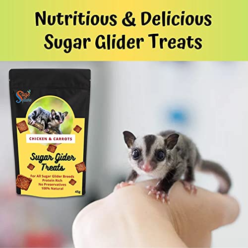 Sage Square Chicken & Carrot Sugar Glider Treat, Crunchy Protein Rich Snack, 45g