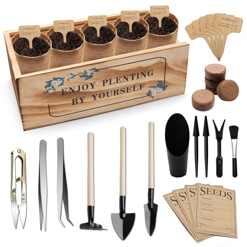 Zhaoyao Bonsai Tree Starter Kit, Indoor Bonsai Tree Kit Meeting Planting and Caring Needs Curated Design for A Complete Gardening Experience for Enthusiasts-no Seeds Included