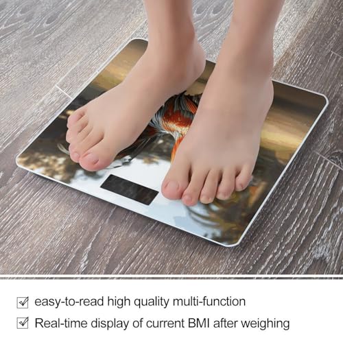 Báscula Digital de Baño FekiLoot con Plataforma Ancha y LCD miniatura 5