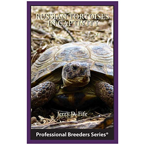 Russian Tortoises in Captivity L8