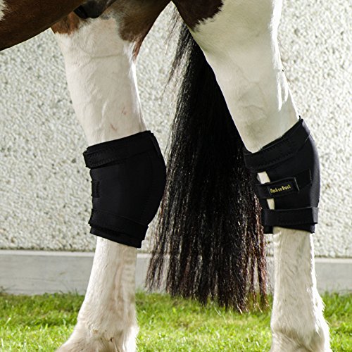 Back on Track Hock Gamasche, rechts