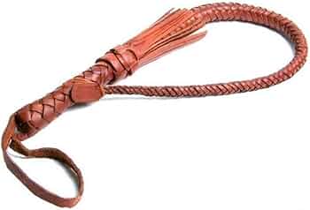 51A5lZauTML._AC_UF350,