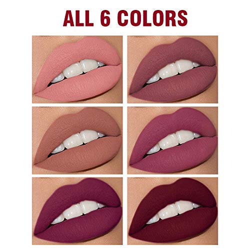BAISEN DIARY Matte Lipstick & Matte Liquid Lipstick & Lip Liner Makeup Set, All in One Lips Makeup Kits Long-Lasting Wear Non-Stick Cup Not Fade Waterproof Lip Make Up Gift Set (20)