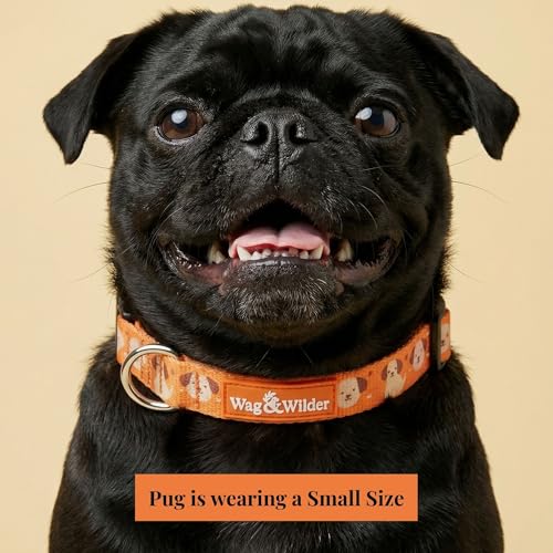 Image of Wag and Wilder Heavy Duty Dog Collar and 5 FT Leash Set for Small Dogs - Quick Release Buckle, Neoprene Padded Handle & Strong Metal Hook (Puppy Parade Orange)