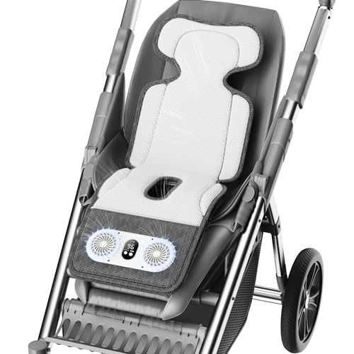 Dual Turbo Blower Cooling Cushion