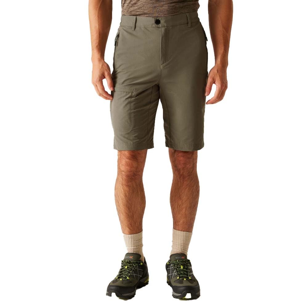 Regatta Men's Treetop Highton Shorts Long Ii