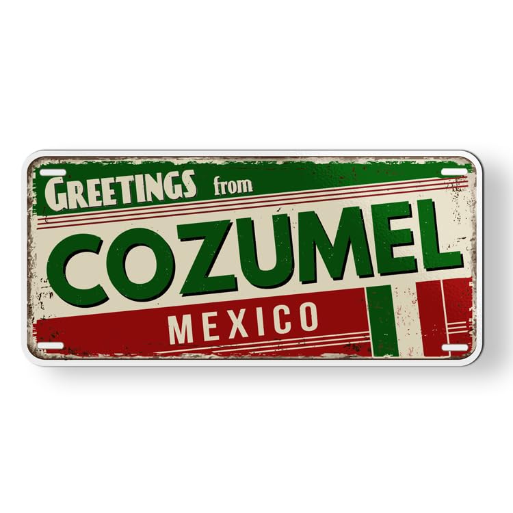 Imán decorativo rectangular 4.5 pulgadas x 2 pulgadas