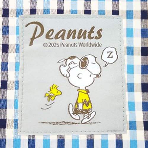 SNOOPY Cute Drawstring Bag, Double Layer, Weakly Water Repellent, Made in Japan, Length 14.4 x Width 13.8 x Gusset, For Travel, Gym, Yoga, Spa, Spa, Dresses, Gymnastics Clothes, Shoe Holder, Gingham4