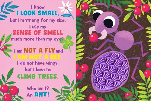 Image of Little Hippo Books Who Am I? In the Garden Children's Books Ages 1-3 | Touch and Feel Books for Toddlers 1-3 & Baby Books | Best Kid's Books and Board ... Books and Sensory Books with Animals