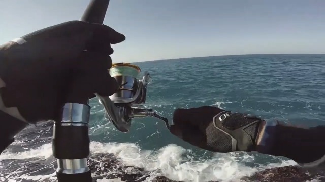 Seaknight RAPIDII Spinnrolle Salzwasser 6.2:1 4.7:1 Angelrolle Karpfen Anti Korrosions Angelrollen Meer 2000H 2500H… – Bild 8