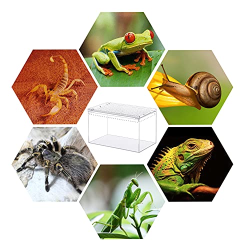 Naneezoo Magnetic Acrylic Enclosure, 10X6X6 Inch Tall Long Case Reptile Habitat Terrarium Cage For Terrestrial Arboreal Tarantula Scorpion Sling Isopods Lizards Invertebrates Insect Mantis thumb #5