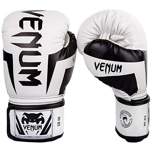 kickboxing gloves venum