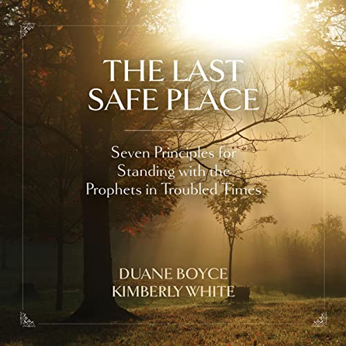 The Last Safe Place by Duane Boyce, Kimberly White episode artwork