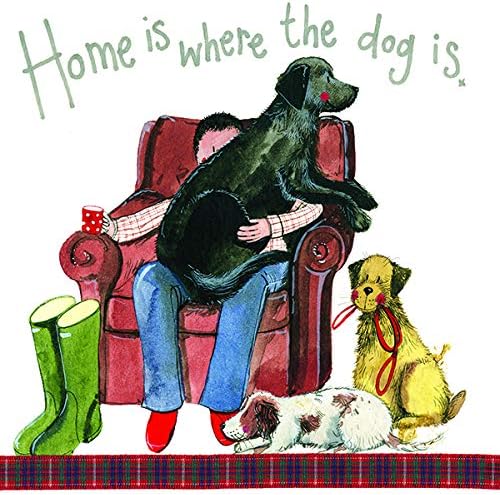 Alex ClarkDog Lover Card - Armchair - Dogs - Wellies - Home - Animal - Greetings Cards - Cards for Dog Lovers - Designed and Printed in the UK