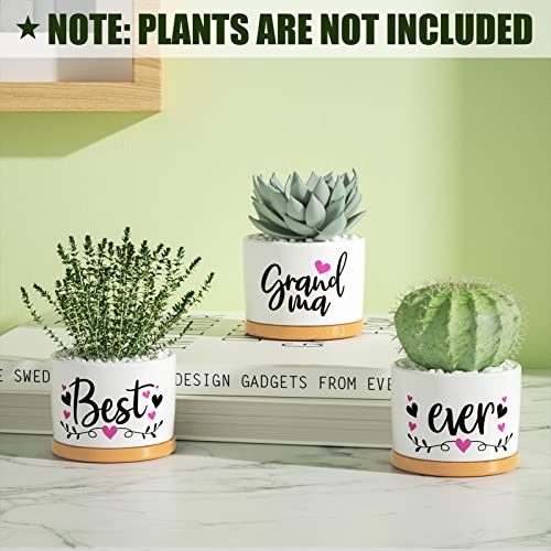 Christmas-Grandma-Gifts-Best-Gifts-for-Grandma-from-Grandchildren-Granddaughter-Best-Grandma-Ever-Succulent-Pots-for-Plants-Indoor-Ceramic-Planter-Gift-Boxed-Cute-Grandma-Birthday-Thanksgiving-Gifts