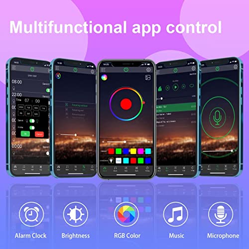 IKERY LED Strip Lights 20M with APP Control, Bluetooth APP Control Music Sync RGB 5050 LEDs Strip Lights for Home, Party, Dating, Festival, Indoor Decoration