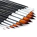 Transon 13pcs Round Paint Brush Set Synthetic Bristle Complete Round Brush Set for Watercolor Acrylic Gouache Ink Tempera