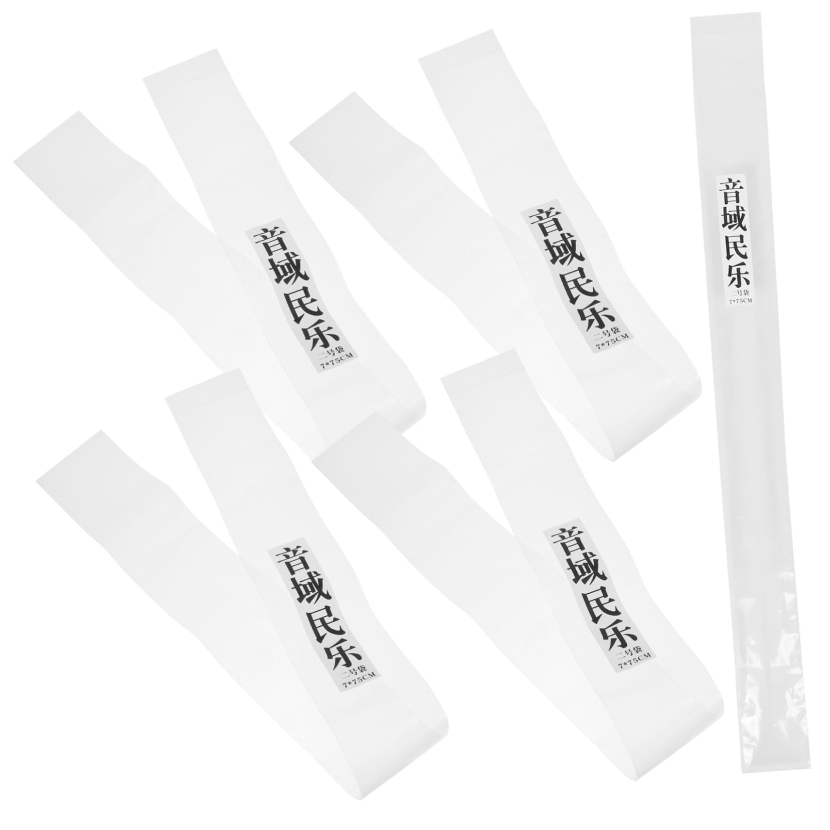 BESPORTBLE 5pcs Portable Flute Storage Organizer Bag Plastic Pouch for Vertical Flutes Design for Travel Humid Conditions Complete Closure for