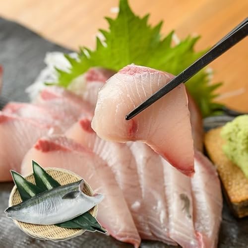 ＼年始発送 先行予約/[2027年1月7日発送]『旅サラダ』で紹介ぶりの王様「 鰤王 」 フィレ 半身 (約1.2〜1.5kg・フィレ1枚) 産地直送 新鮮 長島町 特産品 ブランド ぶり 鰤 ブリ 切り身 真空 冷蔵 刺身 ぶりしゃぶ しゃぶしゃぶ 魚 魚介 人気 ランキング 年末年始発送 [JFA]jfa-7006-07