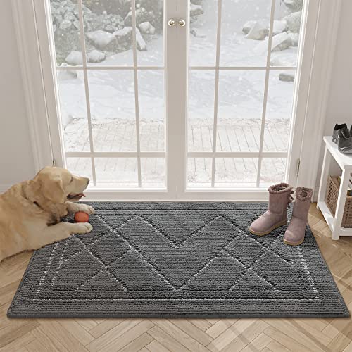 Color G Felpudo Entrada Casa, 45 x 80 cm, Alfombra Entrada Casa Interior Absorbente, Alfombrilla Antideslizante, Lavable, para Puertas, Pasillos, Interiores y Exteriores (Gris Claro) Cover