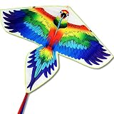 okyaios Kite,Kites for Kids Easy to Fly,Parrot Kite for Children and Adults,Comes with 2 Ribbons and