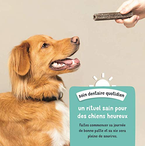 Edgard Cooper Leckerli für Hunde, (Eukalyptus & Apfel, 7 Sticks x 8), groß, Einer pro Tag, kalorienarm, langes, effizientes Kauen, frischer Atem