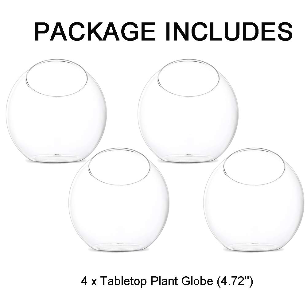 Glasseam Verre Terrarium 12 cm, 4 Pcs Petit Terrarium en Verre, Vase Pot Décoration Intérieure pour Succulentes, Cactus, Bougie - Verre Borosilicaté, Élégante et Moderne, Idéal pour Intérieur