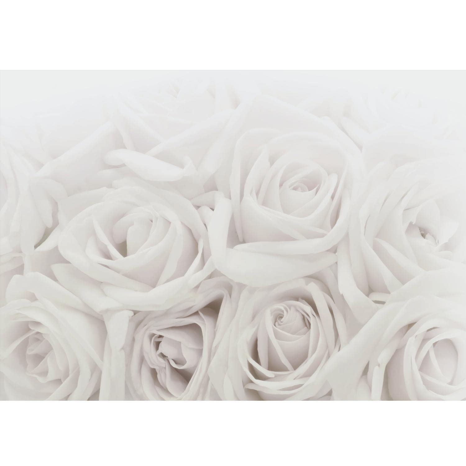 Runa Art Sfondo Fotografico Fiori Rose 396 x 280 cm Lana Sfondo Salotto Camera da letto Ufficio Corridoio Decorazione Murali Decorazione da muro moderna - 100% FATTI IN GERMANIA - 9258012c