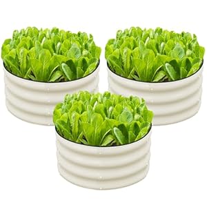 SnugNiture 3 Pcs 2x2x1ft Round Galvanized Raised Garden Bed Kit Outdoor, Metal Planter Box for Planting Plants Vegetables, White