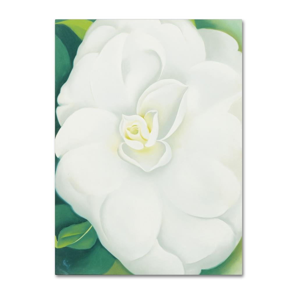 White Camelia by Georgia O'Keefe, 24x32-Inch Canvas Wall Art
