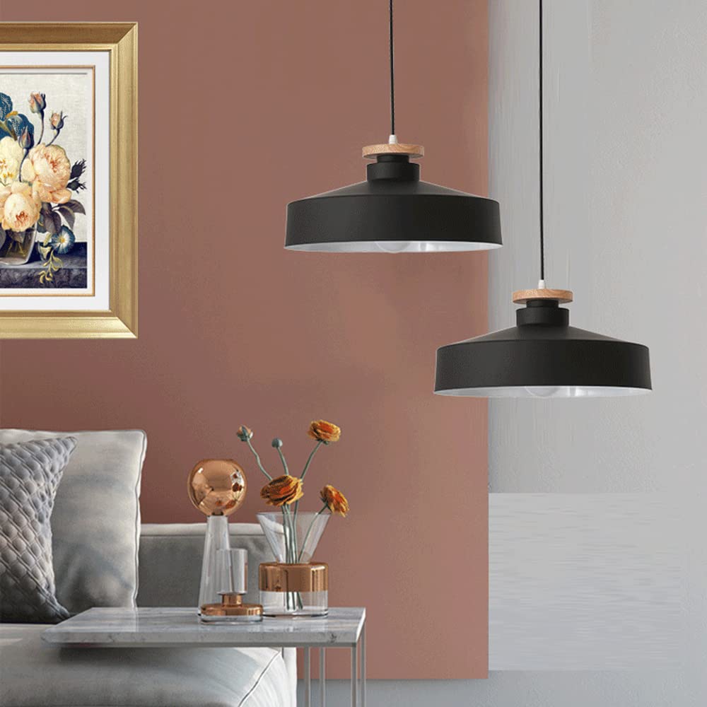 RCIDOS Luces Colgantes Estilo Nórdico Pantalla Luz Techo Creativa Industrial Lámpara Suspensión Escandinava Metal con Accesorio Iluminación Techo Cable Ajustable para Cocina, Cafetería Rústica