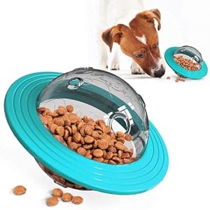 Pet Slow Feeder and Interactive Toy for Cat and Dog Colour May Vary