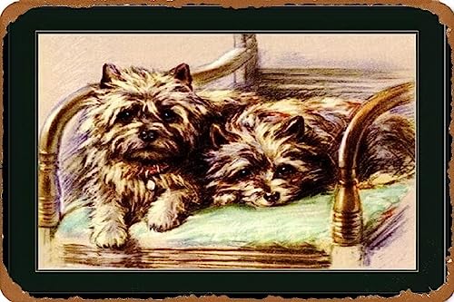 Be[W uL Ŕ p摜vgPA[eAfIqqA[g Be[W uL Ŕ AJ W 20X30cm