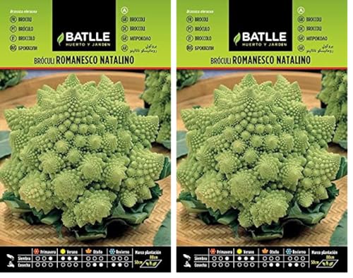 Broculi ROMANESCO NATALINO (Paquete de 2)