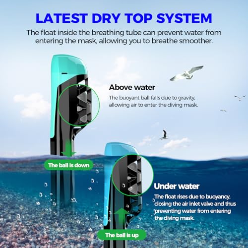 Snorkel Mask with 180 Degree Panoramic View, Anti-Leak Anti-Fog Lens?L/XL