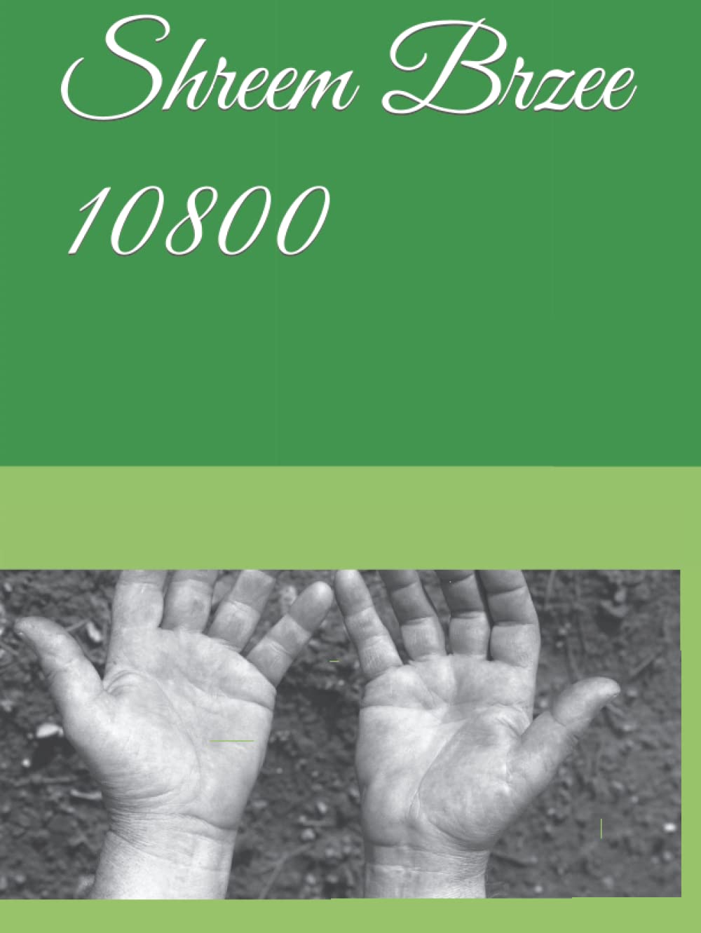 Shreem Brzee template