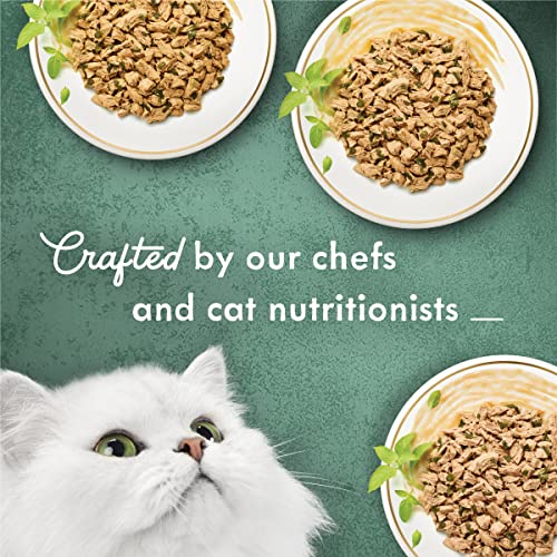 Purina Fancy Feast Medleys Shredded Fare Variety Pack (24) 3 oz Cans - image 5