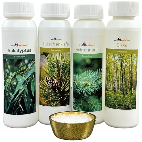 Well2wellness ® Set Esencias Sauna 4 X 125ML 'Clásico 3' con Eucalipto, Picea , Pino Carrasco, Abedul + Gratis 10g Mentol