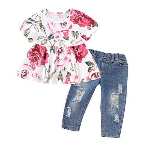 Girls Clothes Outfits, Cute Baby Girl Floral Long Sleeve Pant Set Flower Ruffle Top Outfits for Fall (Short, 18-24 Months)